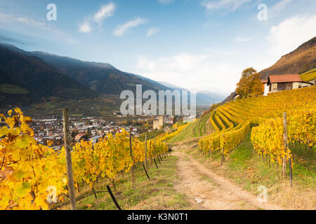 Une vue d'automne du village de Naturns au lever du soleil la lumière avec des vignes en premier plan, Vinschgau, la province de Bolzano, le Tyrol du Sud, Trentin-Haut-Adige, Italie, Europe Banque D'Images