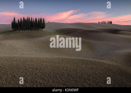 Coucher du soleil au cyprès près de San Quirico d'Orcia, Val d'Orcia, Toscane, Italie. Banque D'Images