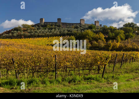 Champs d'automne près de l'enceinte médiévale de Monteriggioni, Toscane, Italie. Banque D'Images