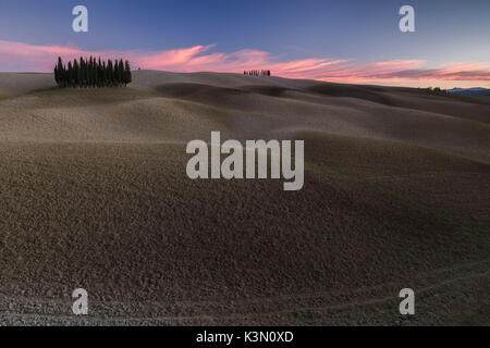 Coucher du soleil près de San Quirico d'Orcia cyprès, Val d'Orcia, Toscane, Italie. Banque D'Images