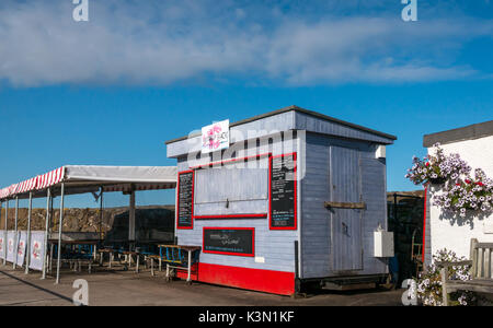 Le Lobster Shack, fermé, North Berwick harbour, East Lothian, Scotland, UK, avec des sièges sur harbourside sur sunny day Banque D'Images