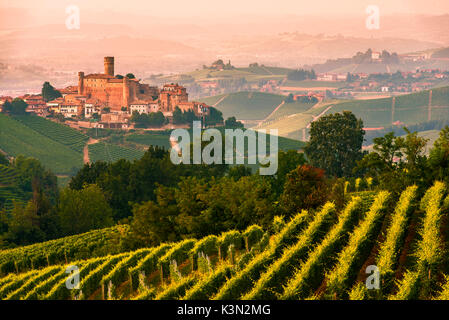 L'Italie, Piémont, Cuneo, District de Langhe - été à Castiglione Falletto Banque D'Images