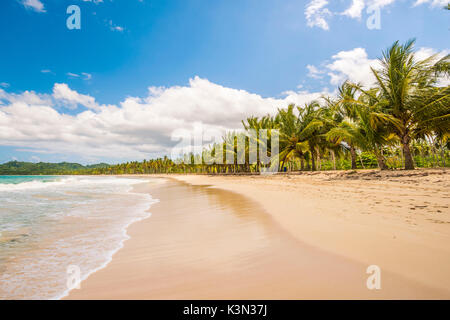 Playa Rincon, Péninsule de Samana, République dominicaine. Banque D'Images