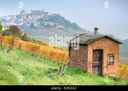 L'aube à la Morra, Langhe, Cuneo, Piémont, Italie. Banque D'Images