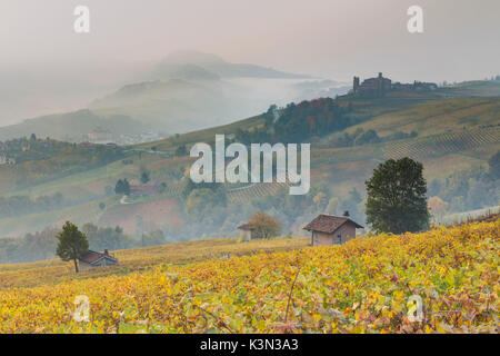 Lever du soleil vers de La Morra, Barolo Langhe, Cuneo, Piémont, Italie. Banque D'Images