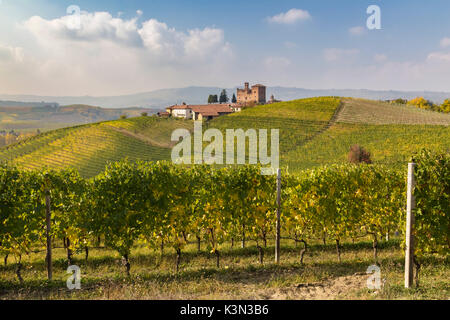 Collines près du château de Grinzane Cavour, Langhe, Cuneo, Piémont, Italie. Banque D'Images