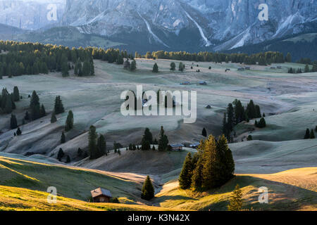 Alpe di Siusi / Seiser Alm, Dolomites, Tyrol du Sud, Italie. La lumière du matin d'automne sur l'Alpe di Siusi / Seiser Alm Banque D'Images