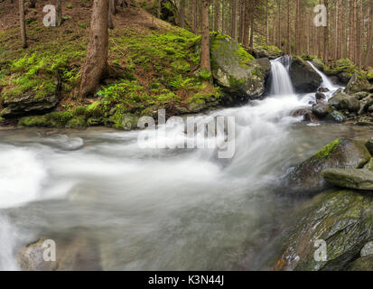 Lutago/Luttach, Vallée Aurina, Tyrol du Sud, Italie. Le Pojen Creek dans la vallée Aurina Banque D'Images