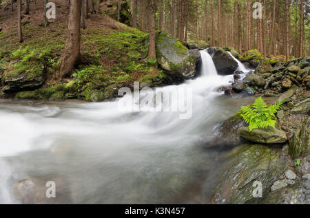 Lutago/Luttach, Vallée Aurina, Tyrol du Sud, Italie. Le Pojen Creek dans la vallée Aurina Banque D'Images