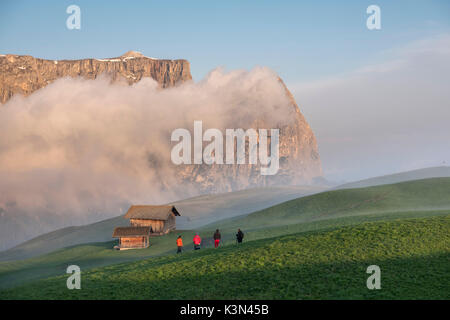 Alpe di Siusi / Seiser Alm, Dolomites, Tyrol du Sud, Italie. Lever du soleil sur l'Alpe di Siusi / Alpe di Siusi. Dans l'arrière-plan les sommets de Sciliar/Schlern, Euringer et Santner Banque D'Images