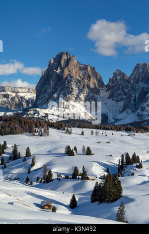 Alpe di Siusi / Seiser Alm, Dolomites, Tyrol du Sud, Italie. Paysage d'hiver sur l'Alpe di Siusi / Seiser Alm aux pics de Sassolungo et Sassopiatto Langkofel / / Plattkofel Banque D'Images