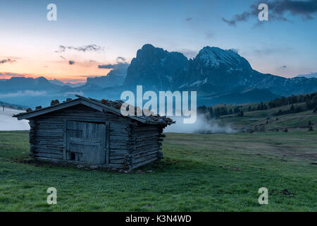 Alpe di Siusi / Seiser Alm, Dolomites, Tyrol du Sud, Italie. L'aube sur l'Alpe di Siusi / Seiser Alm aux pics de Sassolungo et Sassopiatto Langkofel / / Plattkofel Banque D'Images