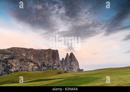 Alpe di Siusi / Seiser Alm, Dolomites, Tyrol du Sud, Italie. Coucher du soleil sur l'Alpe di Siusi / Seiser Alm Banque D'Images