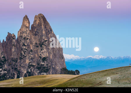 Alpe di Siusi / Seiser Alm, Dolomites, Tyrol du Sud, Italie. Coucher du soleil sur l'Alpe di Siusi / Seiser Alm Banque D'Images