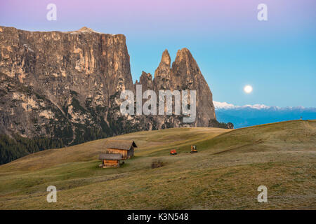 Alpe di Siusi / Seiser Alm, Dolomites, Tyrol du Sud, Italie. Coucher du soleil sur l'Alpe di Siusi / Seiser Alm Banque D'Images