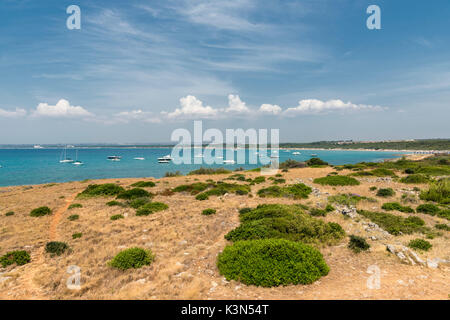 Gallipoli, province de Lecce, Pouilles, Salento, en Italie. La côte de Punta Pizzo Banque D'Images