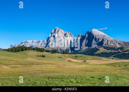 Alpe di Siusi / Seiser Alm, Dolomites, Tyrol du Sud, Italie. Vue depuis l'Alpe di Siusi aux sommets du Sassolungo et Sassopiatto/Langkofel/Plattkofel Banque D'Images