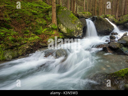 Lutago/Luttach, Vallée Aurina, Tyrol du Sud, Italie. Le Pojen Creek dans la vallée Aurina Banque D'Images