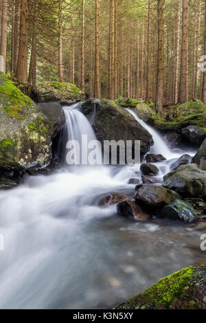 Lutago/Luttach, Vallée Aurina, Tyrol du Sud, Italie. Le Pojen Creek dans la vallée Aurina Banque D'Images