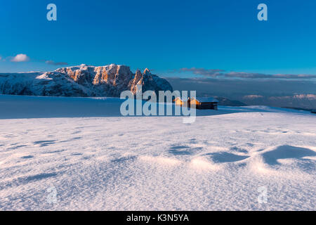 Alpe di Siusi / Seiser Alm, Dolomites, Tyrol du Sud, Italie. Granges sur plateau Bullaccia/Puflatsch. Dans l'arrière-plan les sommets de Sciliar/Schlern Banque D'Images