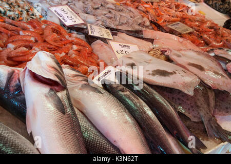 L'Europe, Italie, Vénétie, Chioggia. Pour la vente du poisson sur le marché de détail Banque D'Images