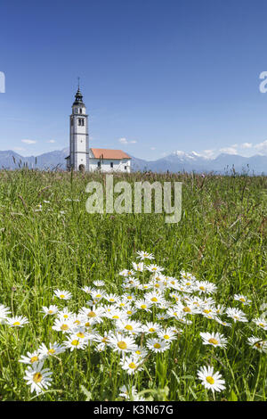 L'Europe, la Slovénie, Haute-Carniole, Kranj. L'église de Saint Ursula au milieu des champs d'Sorsko Polje, juste en dehors du village de Bitnje Srednje Šole Banque D'Images