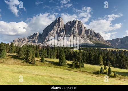 L'Europe, l'Italie, le Tyrol du Sud, Bolzano. Le Sass de Putia (Peitlerkofel) vu de Passo delle Erbe, Dolomites Banque D'Images