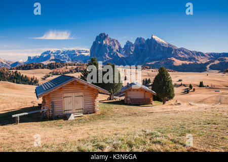 L'Europe, l'Italie, le Tyrol du Sud, à l'Alpe di Siusi - Alpe di Siusi. L'automne sur l'Alpe de Siusi avec le Sassolungo et Sassopiatto Langkofel/l/Plattkofel en arrière-plan, Dolomites Banque D'Images