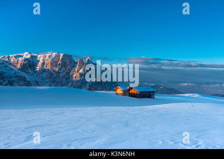 Alpe di Siusi, Dolomites, Tyrol du Sud, Italie. Lever du soleil sur le plateau de Bullaccia/Puflatsch. Dans l'arrière-plan les sommets de Sciliar/Schlern Banque D'Images