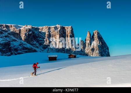 Alpe di Siusi / Seiser Alm, Dolomites, Tyrol du Sud, Italie. Ski le matin sur l'Alpe di Siusi / Seiser Alm. Dans l'arrière-plan le Schlern/Sciliar Banque D'Images