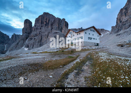 L'Europe, l'Italie, le Tyrol du Sud, Bolzano. Rifugio Franco Cavazza à Pisciadu dans le groupe du Sella avec tapis de la linaigrette du Canada à l'avant-plan, les Dolomites Banque D'Images