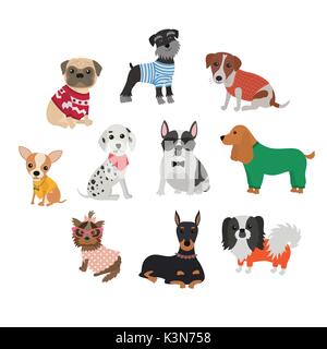 Ensemble de différentes races de chiens dans les vêtements et accessoires Illustration de Vecteur