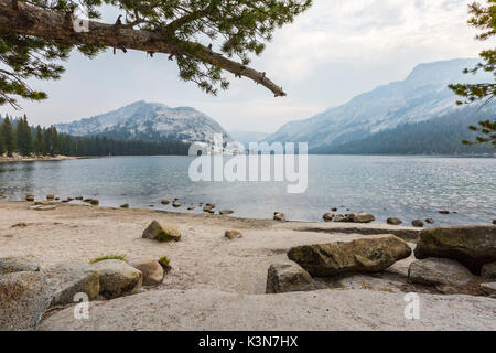 Lac Tenaya, Yosemite National Park, Mariposa County, Californie, USA. Banque D'Images