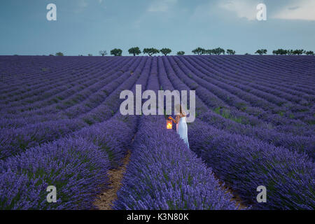 Femme avec lanterne dans un champ de lavande. Plateau de Valensole, Alpes de Haute Provence, Provence-Alpes-Côte d'Azur, France, Europe. Banque D'Images