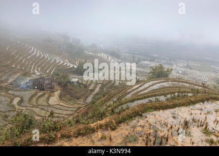 Maison isolée parmi les rizières en terrasses de Sapa au Vietnam du Nord Banque D'Images