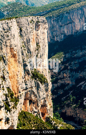 Gorges du Verdon, Provence-Alpes-Côte d'Azur, France Banque D'Images