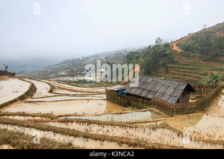 Maison isolée parmi les rizières en terrasses de Sapa au Vietnam du Nord Banque D'Images