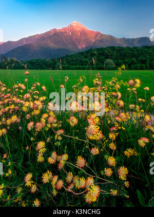 Coucher de soleil sur le Mont Legnone, Novate Mezzola, Lombardie, Italie Banque D'Images