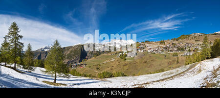 Voir des chamois en automne, vue panoramique (chamois, Valtournenche, province d'Aoste, vallée d'aoste, Italie, Europe) Banque D'Images