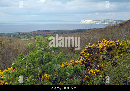 Le point de vue de la localité et brook downs sur l'île de Wight à l'eau douce vers les falaises et la baie de St Catherine's Point et dans le sud Banque D'Images