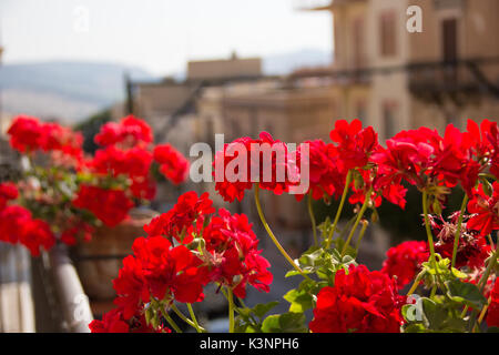 Des fleurs sur un balcon Banque D'Images