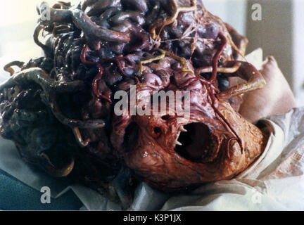 [1988] NOUS REJUVENATRIX alias REJUVENATOR [Br Titre du communiqué] VIVIAN LANKO Date : 1988 Banque D'Images