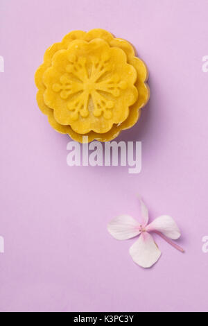 Belle mooncake sur fond coloré avec certains hydrangea. Banque D'Images