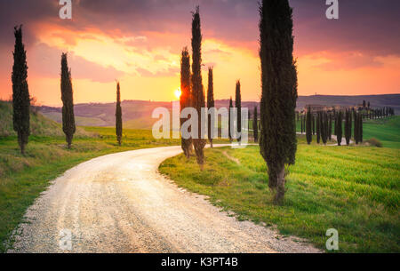 Podere Baccoleno, Asciano, Crete senesi, Toscane, Italie Banque D'Images