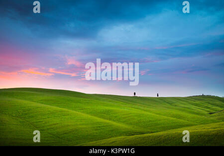 Pienza, Toscane, Italie. Coucher de soleil sur les collines et les cyprès. Banque D'Images