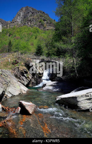 Flux alpin sous un pont de pierre à val pilotera, en val Bodengo, Valchiavenna, province de Sondrio, Italie Banque D'Images