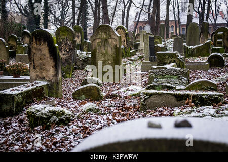 Cracovie, Pologne, du nord-est de l'Europe. Pierres tombales dans nouveau cimetière juif. Banque D'Images