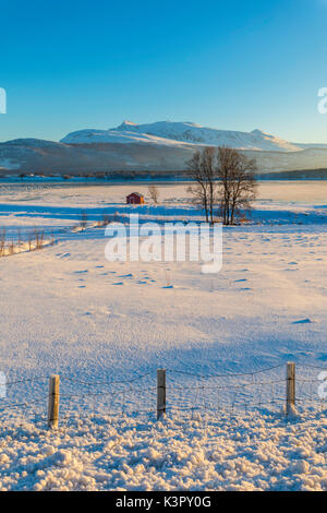 Cabane en bois dans le paysage de neige en face de la mer froide sur la route menant de Gibostad à Finnsnes Senja Tromsø Norvège Europe Banque D'Images