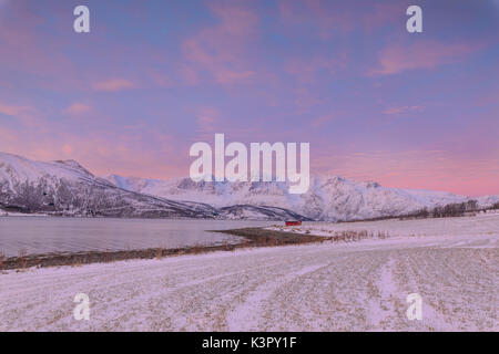 Ciel rose à l'aube sur les champs de neige et cabane en bois typique entouré par la mer gelée des Alpes de Lyngen Svensby Tromsø Norvège Europe Banque D'Images