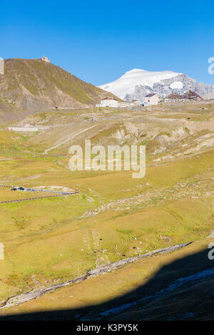 Les prés vert et bleu ciel frame le pic enneigé du Mont Ortles au col du Stelvio Valtellina Lombardie Italie Europe Banque D'Images